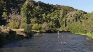 Ферма в США. Ранчо. Природа.