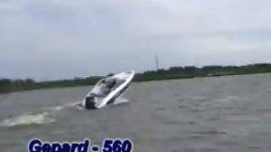 boat gepard 560