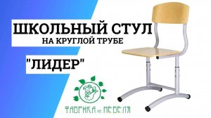 Ученический стул Лидер