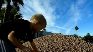 Recycle Kid plays with his Bruder Mack Granite Garbage Truck, it's awesome!