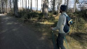 Как выбрать треккинговые палки: материал, настройка [2021]