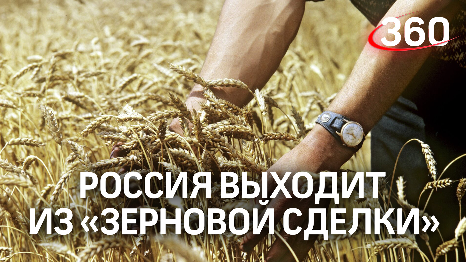 Россия выходит из «зерновой сделки»: какими будут последствия для нас и западного мира?
