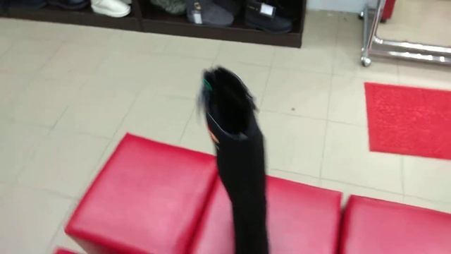 Сапоги женские демисезонные смотреть онлайн