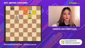 Мат двумя слонами