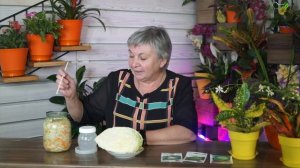 Разбираем ВАШИ Ошибки при квашение капусты !