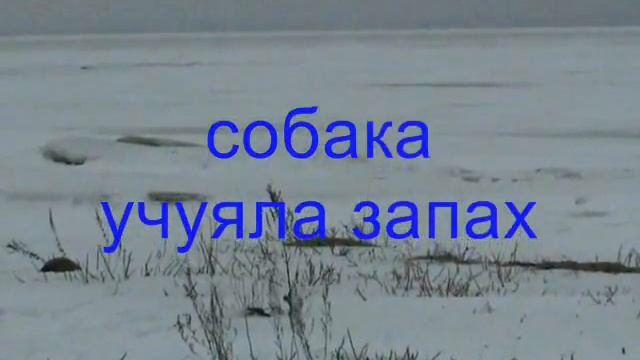 Динка, ветру наперерез смотреть онлайн