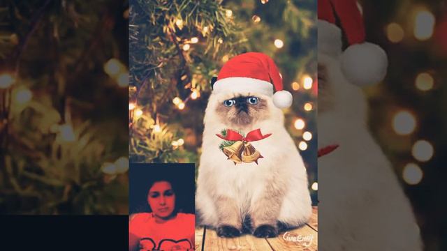 Звонок из будущего 2 !Дед Мороз смотреть онлайн