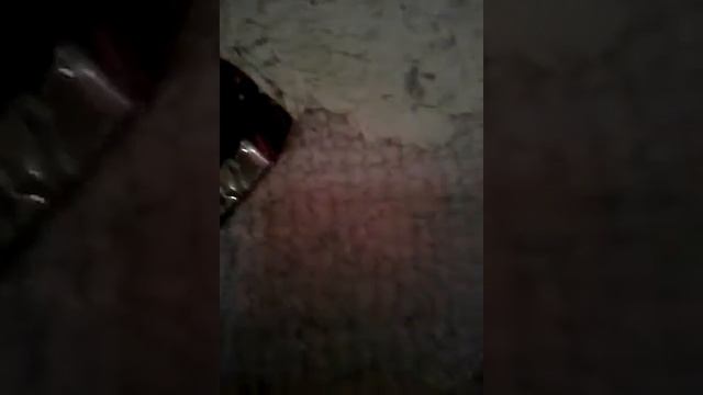 Обзор на роллы,сушис тарелкой ипалочками смотреть онлайн