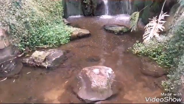 ПАРК "БИОТРОПИКА" BIOTROPICA /удивительное рядом