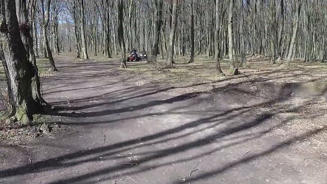 Квадроциклы (сюрприз на день рождения) смотреть онлайн