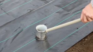 ПОСАДКА КЛУБНИКИ НА АГРОТКАНЬ. ОСЕННЯЯ ПОСАДКА КЛУБНИКИ.