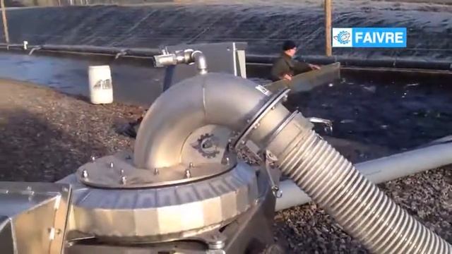 Закачка рыбы в транспорт с помощью рыбонасоса PESCAMOTION 6