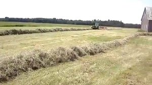 Работа Multifarmer с граблями ворошилками на кормозаготовке
