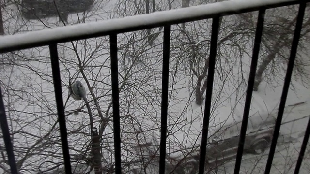 Снегопады в Питере - 26 декабря 2014 смотреть онлайн