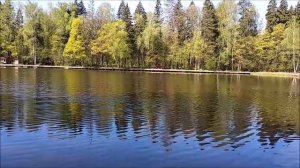 Норма по осетру за два часа рыбалки, нижний пруд Клёвое место Лосиный остров