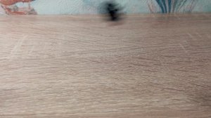 туториал на пингвина кругляша из бисера//#бисероплетение