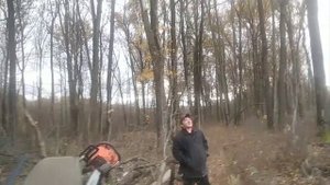 В лес, по дрова ?