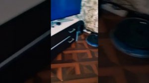 Алиса яндекс против  Робот пылесос xiomi