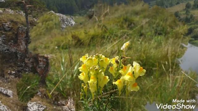 Село Слобода. Свердловская область.