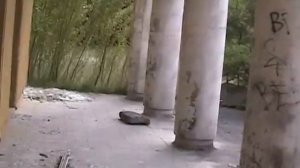 вернойхен  гсвг столовая