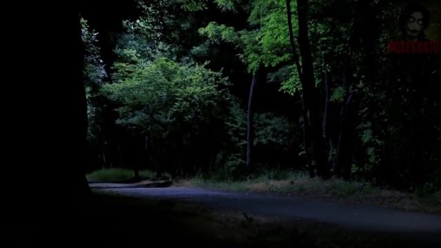 Истории на ночь - Лебедей здесь больше нет смотреть онлайн