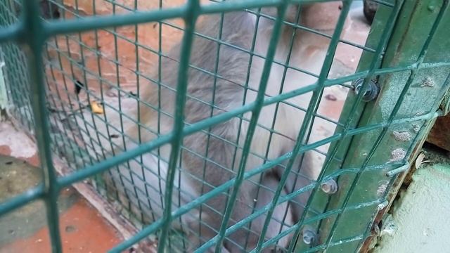 Черное море ! Джубга смотреть онлайн