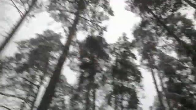 На снегоходе по зимнему лесу Керженский заповедник 2016 смотреть онлайн