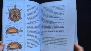 Чевостик. Динозавры