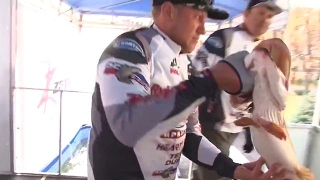 Саратов Сегодня — 25 октября 2018 смотреть онлайн