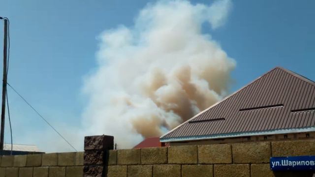 пожар в белореченске, лес горит смотреть онлайн