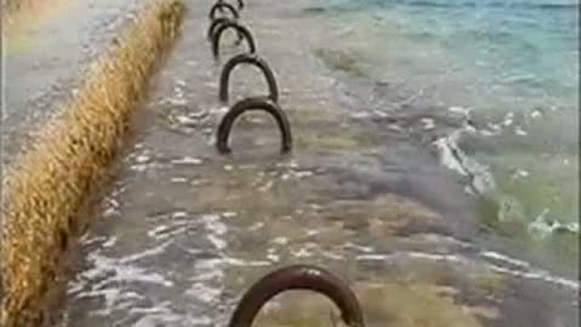 Кто есть кто? часть2