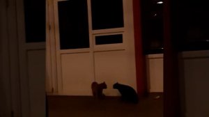 Жена ругает мужа