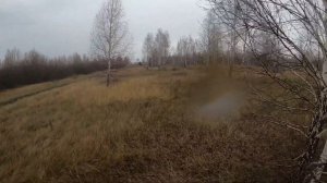 Охота на косулю 2023. В каждом загоне зверь!!!