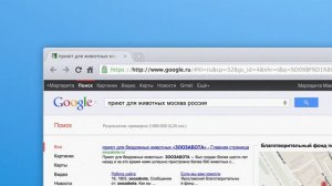 Google Chrome - Котёнок
