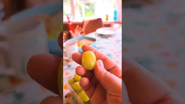 А разве ТАК БЫВАЕТ? ? #дача #жизньвдеревне #дачнаяжизнь