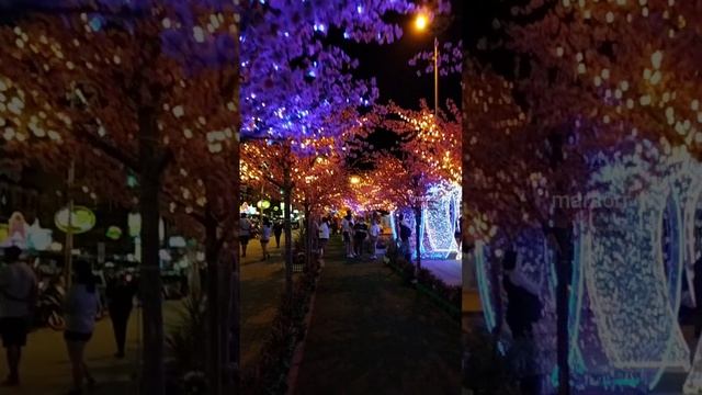 просто "зима" в паттайе. ч.13 2022-23 цветные огни, центр