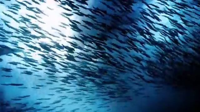 Test Upload via Java on Sun Apr 27 19:38:06 GMT+09:00 2014 смотреть онлайн