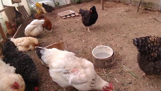 История из детства. Заставляли ходить босиком, экономили на мне.