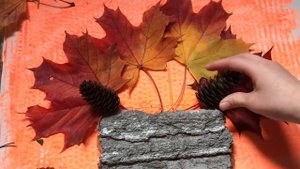 ОСЕННИЕ ПОДЕЛКИ своими руками из Природного Материала Поделки на тему Осень