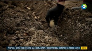 Как правильно посадить картофель.