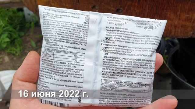 Посадка репчатого лука под зиму ВЫВОДЫ и опыт 2022 года смотреть онлайн