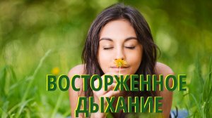 Как успокоить дыхание при тревоге: осознанное дыхание осознанный вдох техника восторженное дыхание