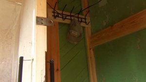 Нашли старый улей. Шпалера для винограда. Птицы склеивали войлочную вишню.