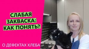 Слабая ?закваска: как понять? Признаки того, что с вашей закваской проблемы