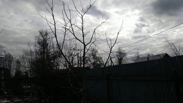 Как правильно обрезать яблони весной.Часть 2. смотреть онлайн