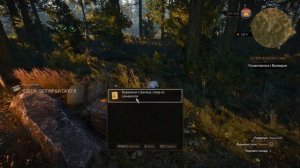 The Witcher 3 - Стальной и Серебряный мечи школы Змеи в Белом Саду