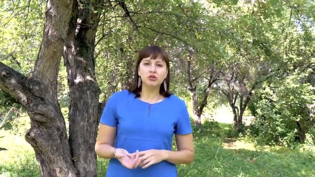 Вебинар  