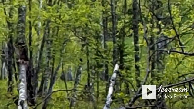 Геолого  разведочные работы р Прямая 2020 г - Geological Exploration Work R Direct 2020