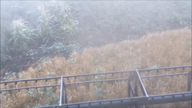 Уборка ячменя на огороде смотреть онлайн