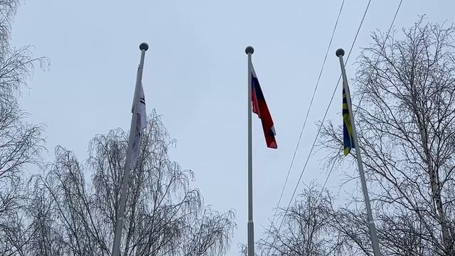 Отделение авиационной техники кафедры Военно-воздушных сил открылось в филиал "НИУ "МЭИ" г Смоленска